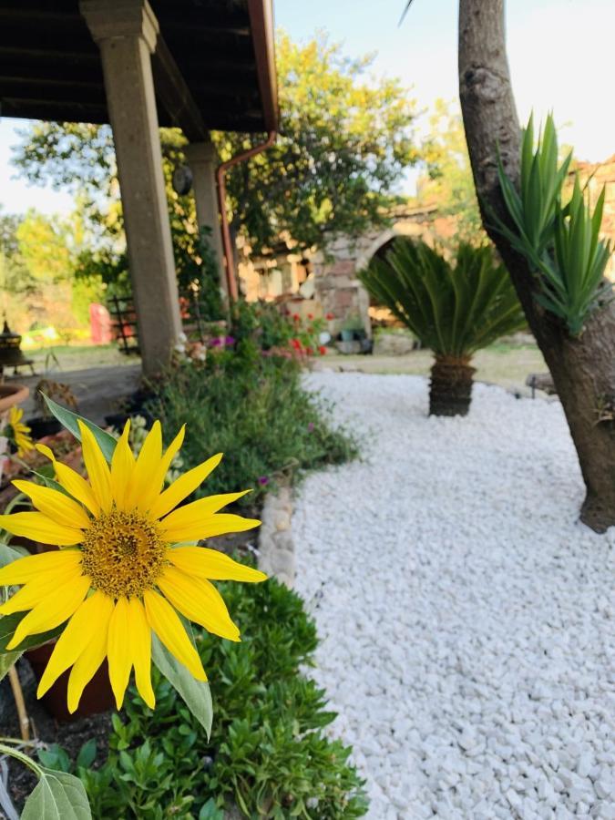 Villa Agriturismo Da Lino Agripizza à Samugheo Extérieur photo